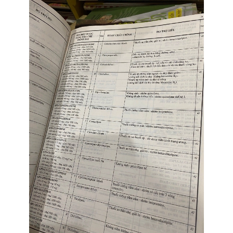 Videl Việt Nam 1004743