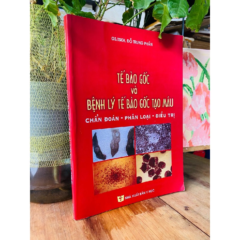 Tế bào gốc và bệnh lý tế bào gốc tạo máu - GS.TSKH. Đỗ Trung Phấn 191720