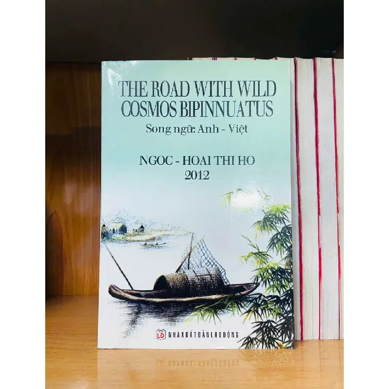 The road with wild cosmos bipinnuatus HỌC NGOẠI NGỮ VAVO0810 595201