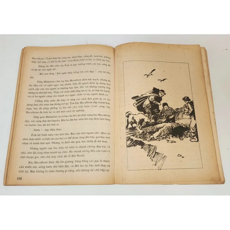 CHÚ BÉ THOÁT NẠN ĐẮM TÀU (Jules Verne & André Laure) 759342