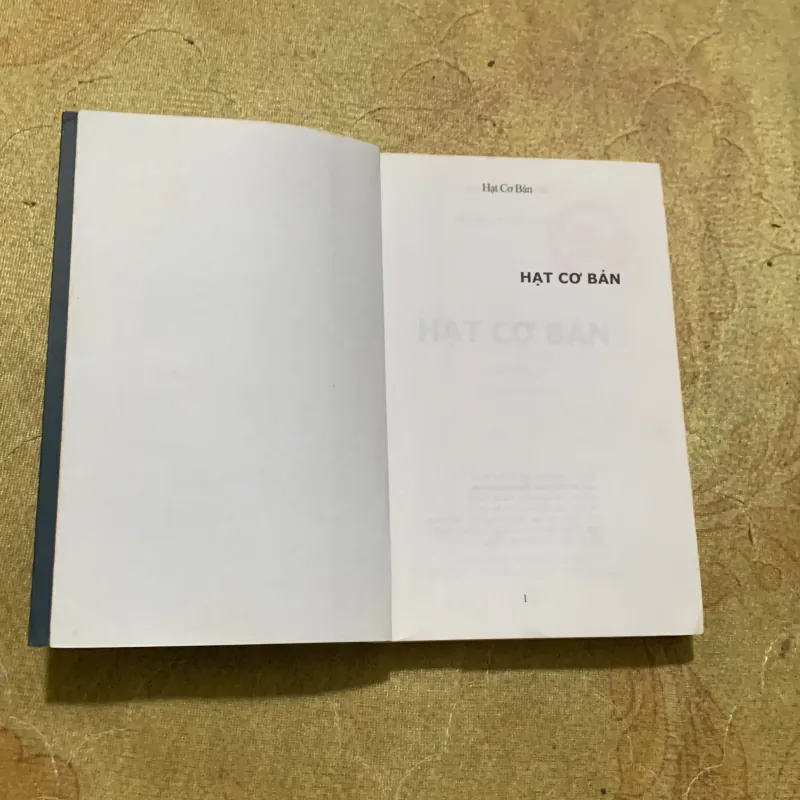 COMBO HẠT CƠ BẢN & NGÀN MẶT TRỜI RỰC RỠ 753087