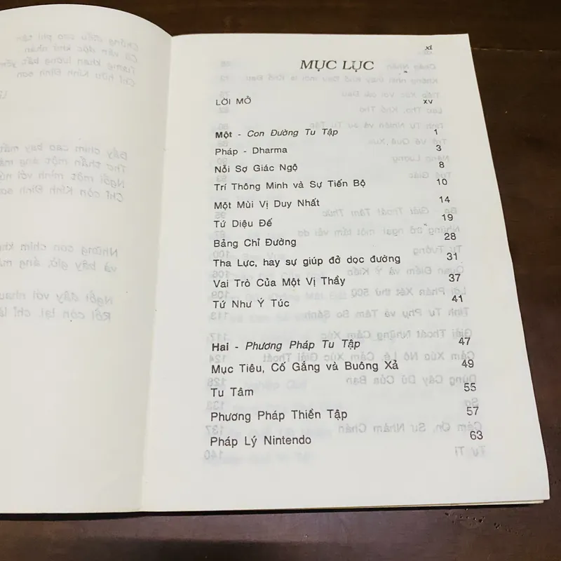 Kinh nghiệm thiền quán phương pháp thiền tập Vipassana 719108