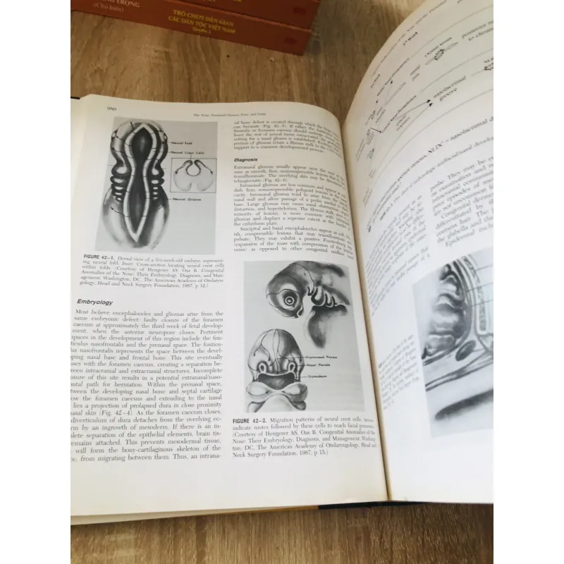 Pediatric Otolaryngology – Fourth Edition (Bộ 2 tập) 925810