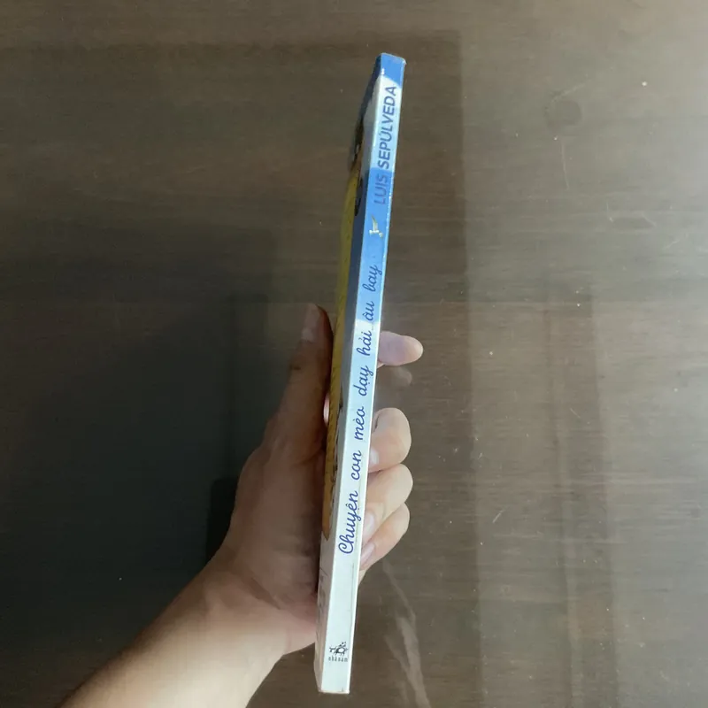 Chuyện con mèo dạy hải âu bay - Luis Sepulveda 717051