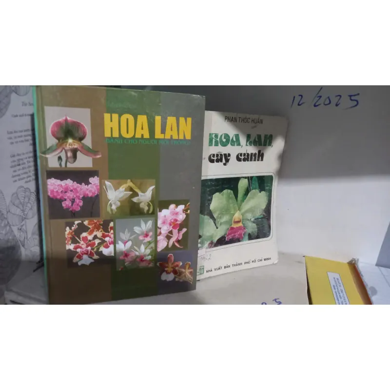 kỹ thuật trồng hoa lan 740907