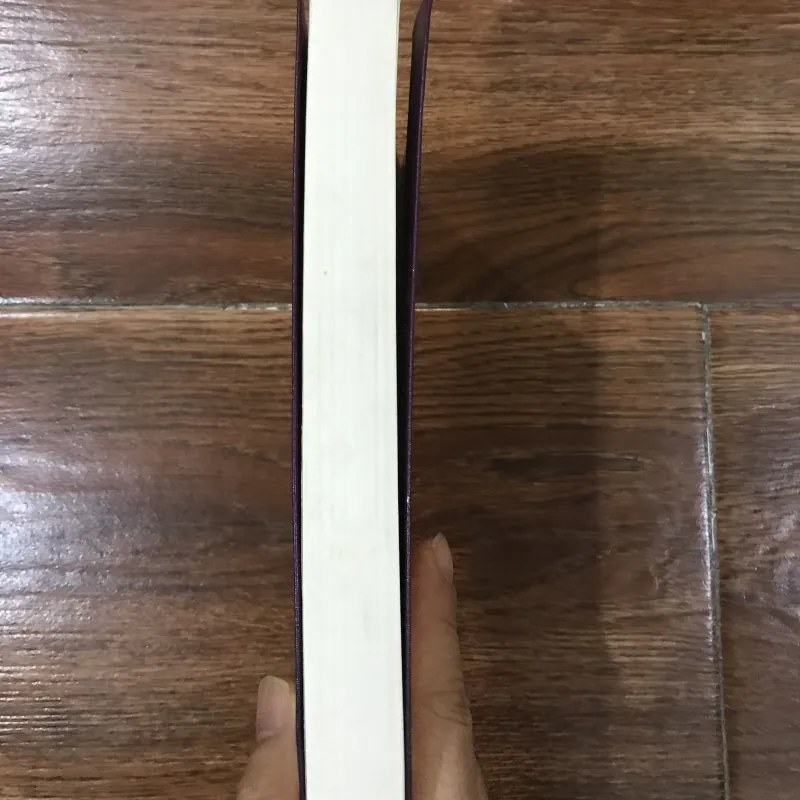 Người mẹ - Macxim Gorki (7) 928783