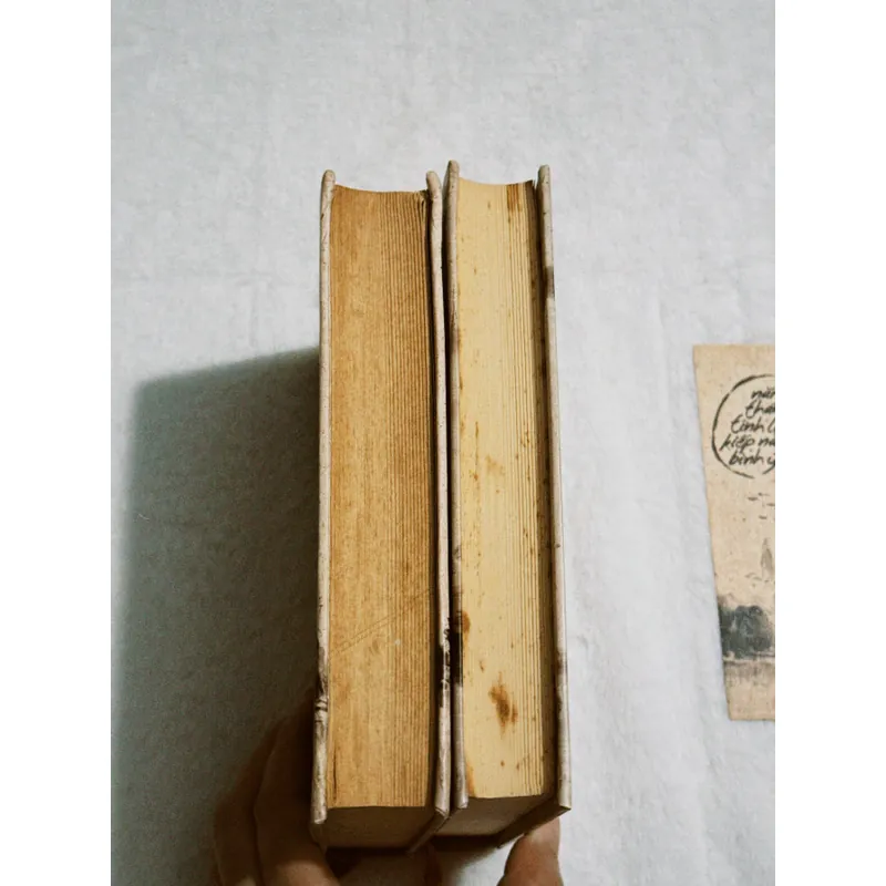 Combo 2c Bạch Lạc Mai (bìa cứng)  701865