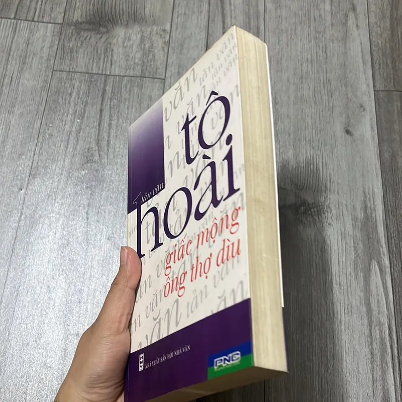 Giấc mộng ông thợ dìu. 3b3 574992