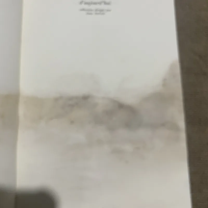 Patrick Carré Le Palais nuages roman 747299