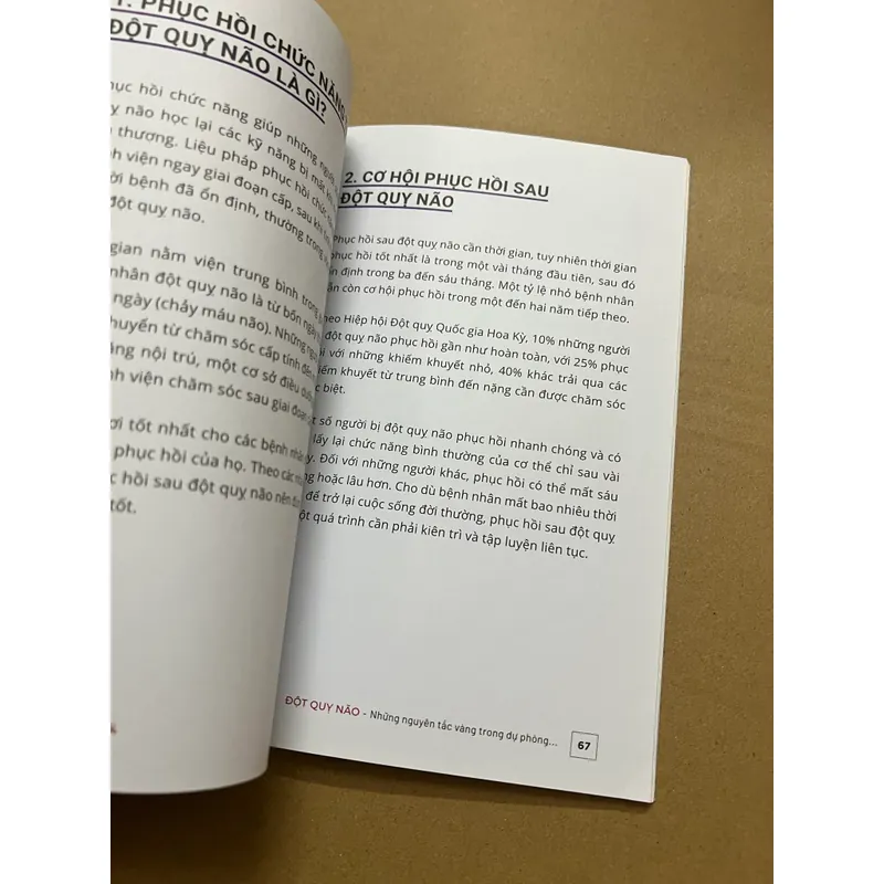 Đọt Quỵ Não 569156