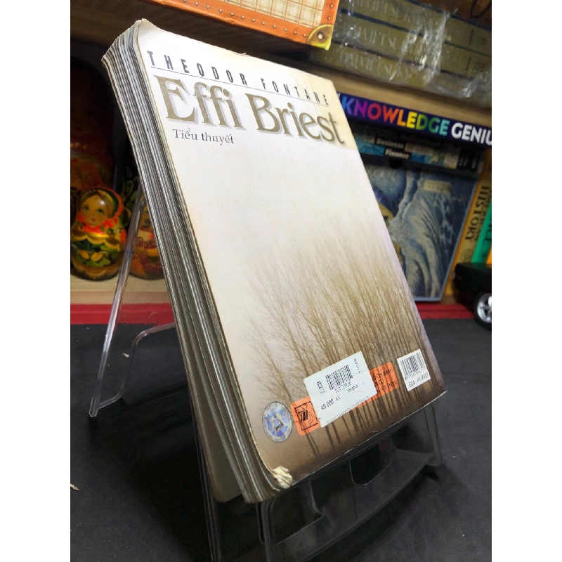 Effi Briest 2006 mới 70% ố bẩn nhẹ Theodoor Fontane HPB0906 SÁCH VĂN HỌC 915127