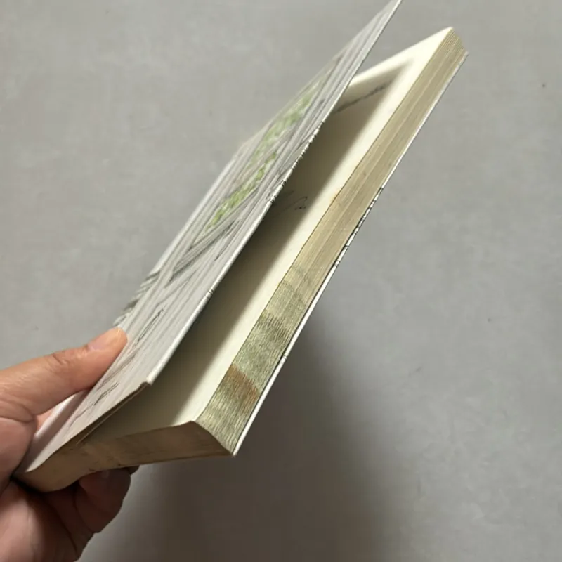 (Có chữ ký tác giả) Tôi đi tìm tôi - Nguyễn Phi Vân (t01) 750327