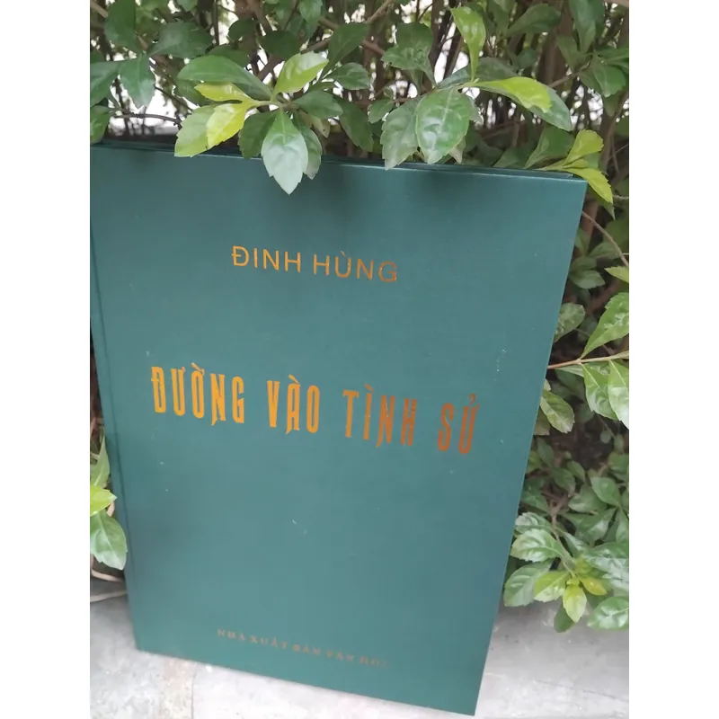 Đường vào tình sử tập thơ của Đinh Hùng  733483