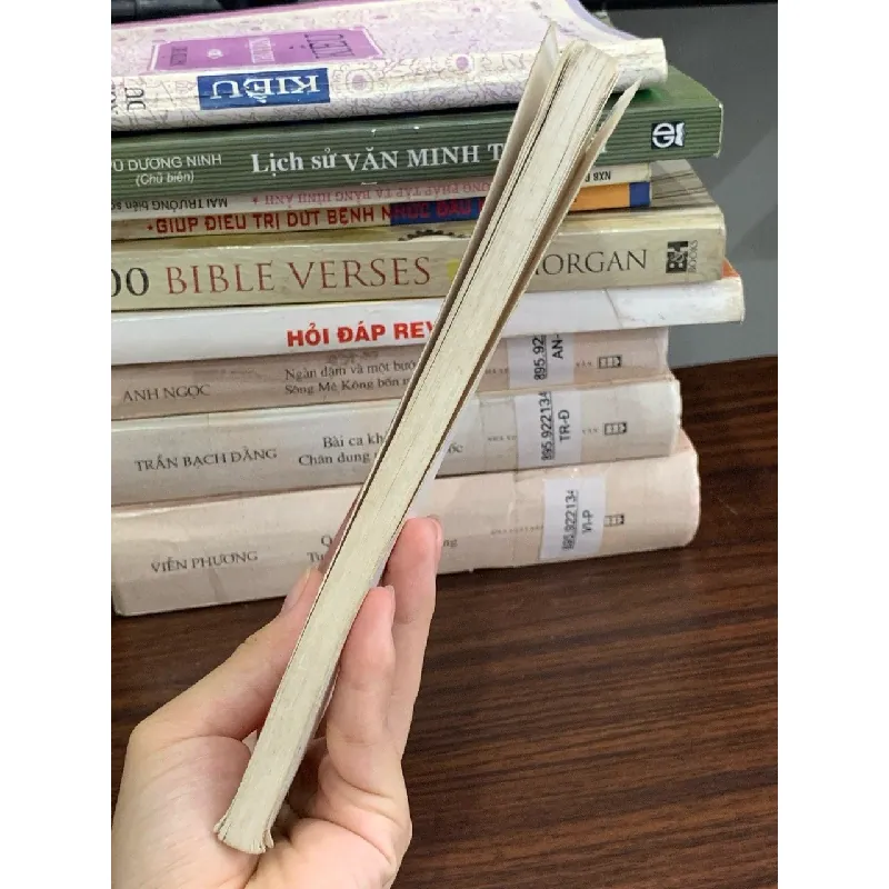 Truyện Kiều (Bùi Kỷ và Trần Trọng Kim hiệu khảo) – Nguyễn Du 589314