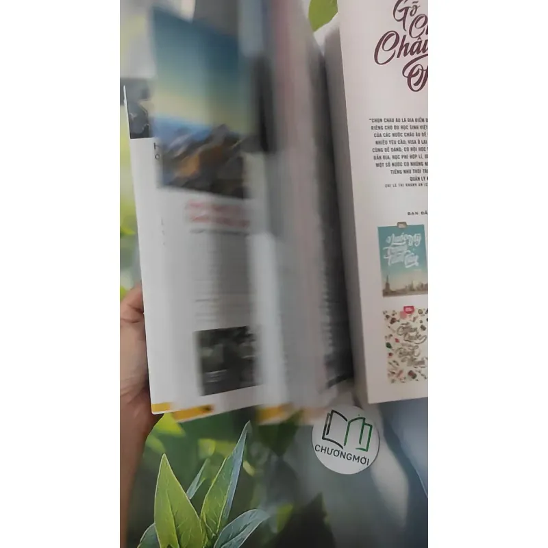 Gõ Cửa Châu Âu - Nền Giáo Dục Thiên Đường 1018959