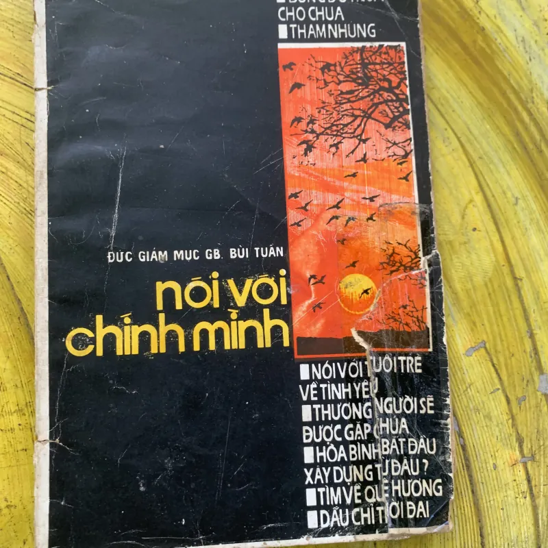 NÓI VỚI CHÍNH MÌNH - ĐỨC GIÁM MỤC CB BÙI TUẤN 746705