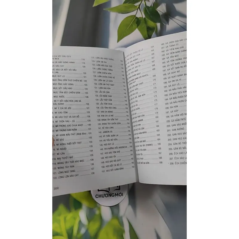 300 Món Ngon Dễ Làm - Ngọc Huệ 727228