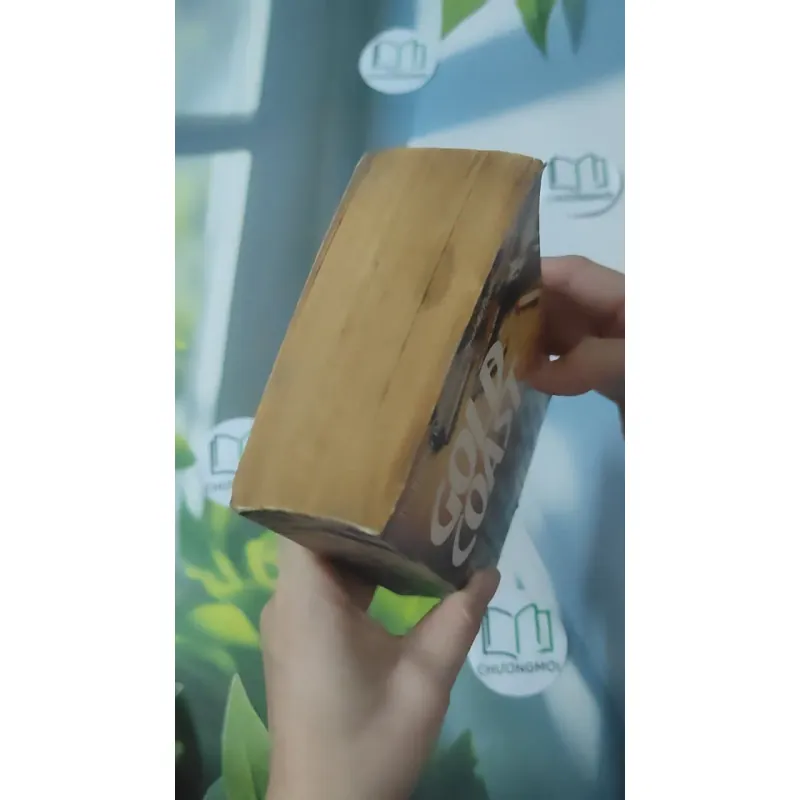 [MIỄN PHÍ BỌC SÁCH] Gold Coast - Nelson DeMille 1027248