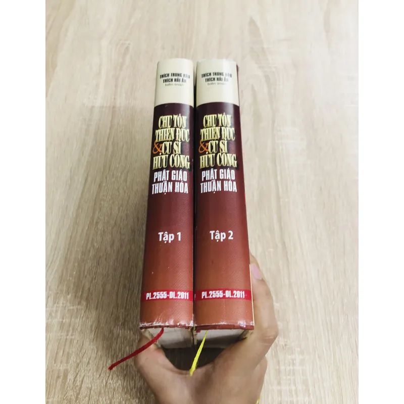 CHƯ TÔN THIỀN ĐỨC & CƯ SĨ HỮU CÔNG – PHẬT GIÁO THUẦN HÓA ( tập 1 & 2) 970537