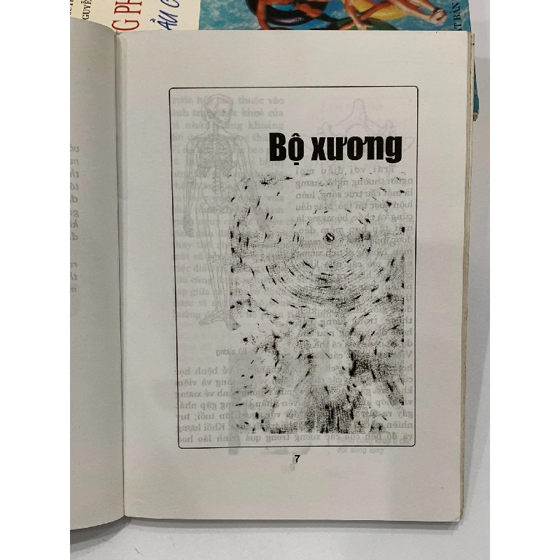 Các bệnh về cơ – xương – da – Lê Dự Phương 530626