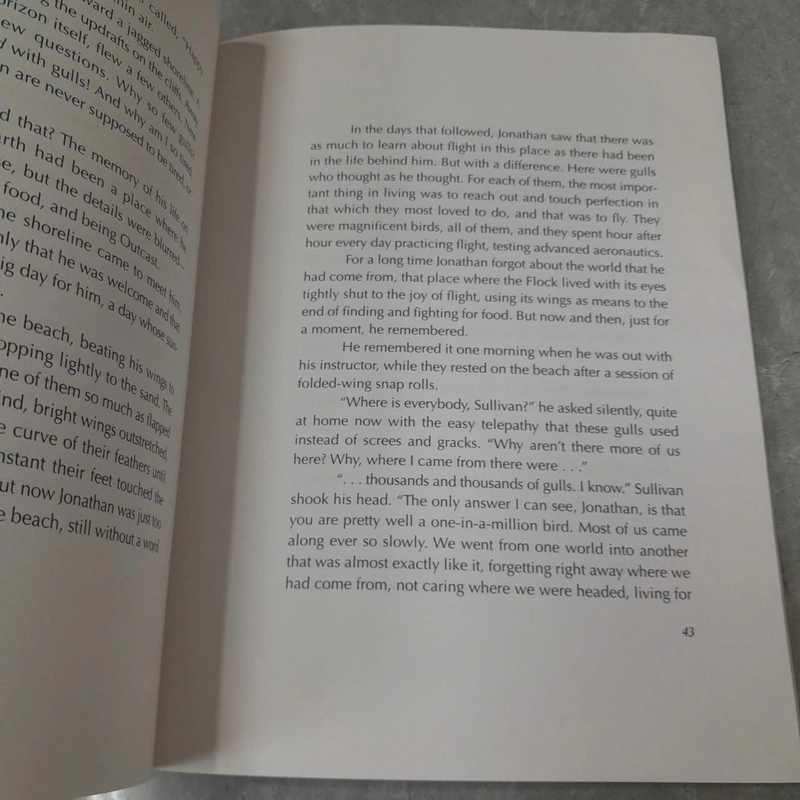 JONATHAN LIVINGSTON SEAGULL - RICHARD BACH 538932