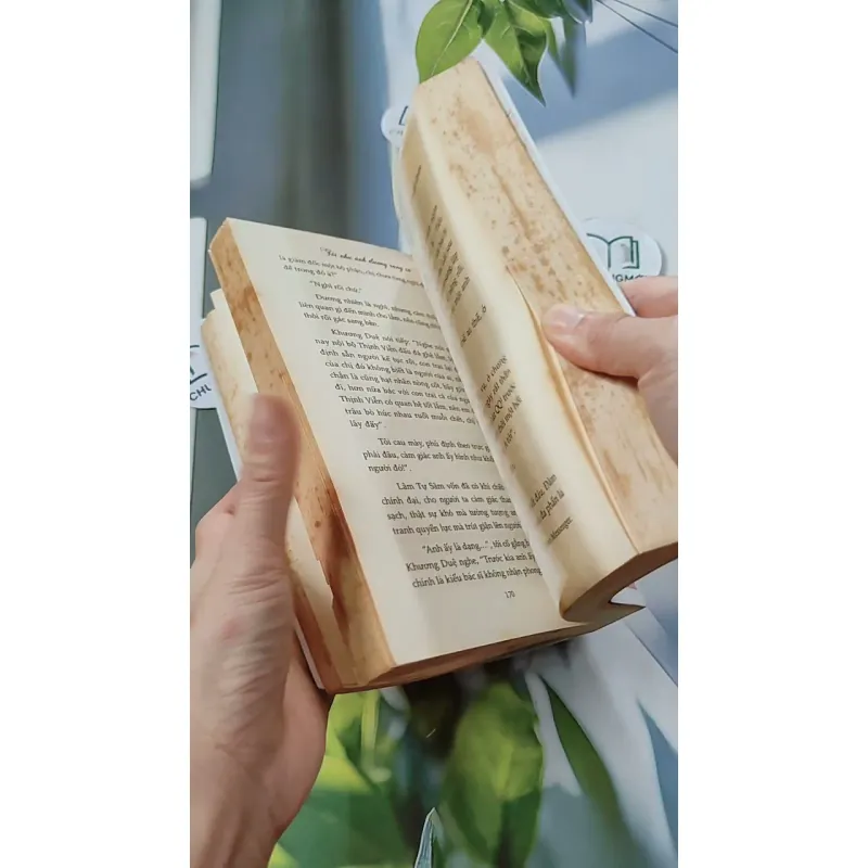 Tôi Như Ánh Dương Rạng Rỡ - Cố Mạn 744697