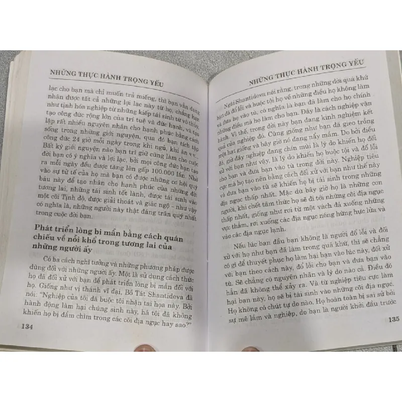 Những thực hành trọng yếu - Thanh Liên 704290