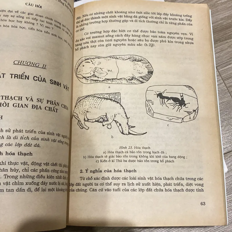 SINH HỌC 12 (XB 2000) 994072