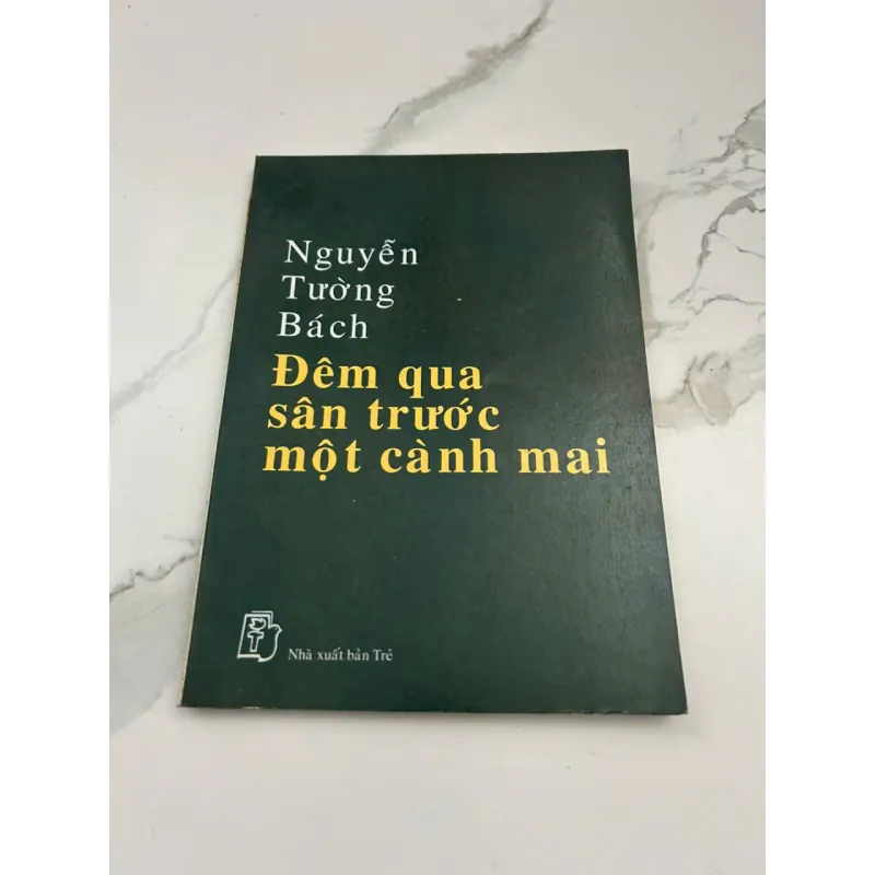 Đêm Qua Sân Trước Một Cành Mai – Nguyễn Tường Bách 601163