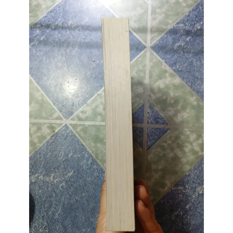 Con đường phi thường của Đặng Tiểu Bình - Lộ Tiểu Khả 974918