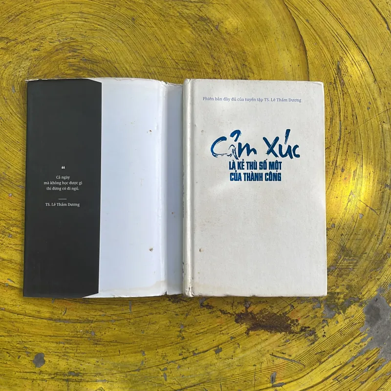 CẢM XÚC LÀ KẺ THÙ SỐ MỘT CỦA THÀNH CÔNG - TS. LÊ THẨM DƯƠNG 976760