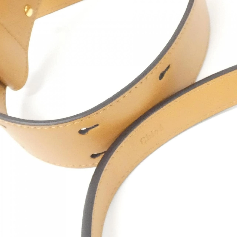 Túi xách chéo nhỏ Chloe TES CHC20SS153 C36 - Hàng hiệu Authentic 765342