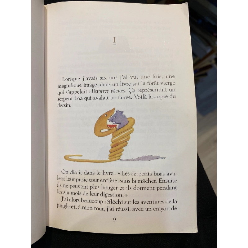 Le Petit Prince - Antoine de Saint-Exupéry 448947