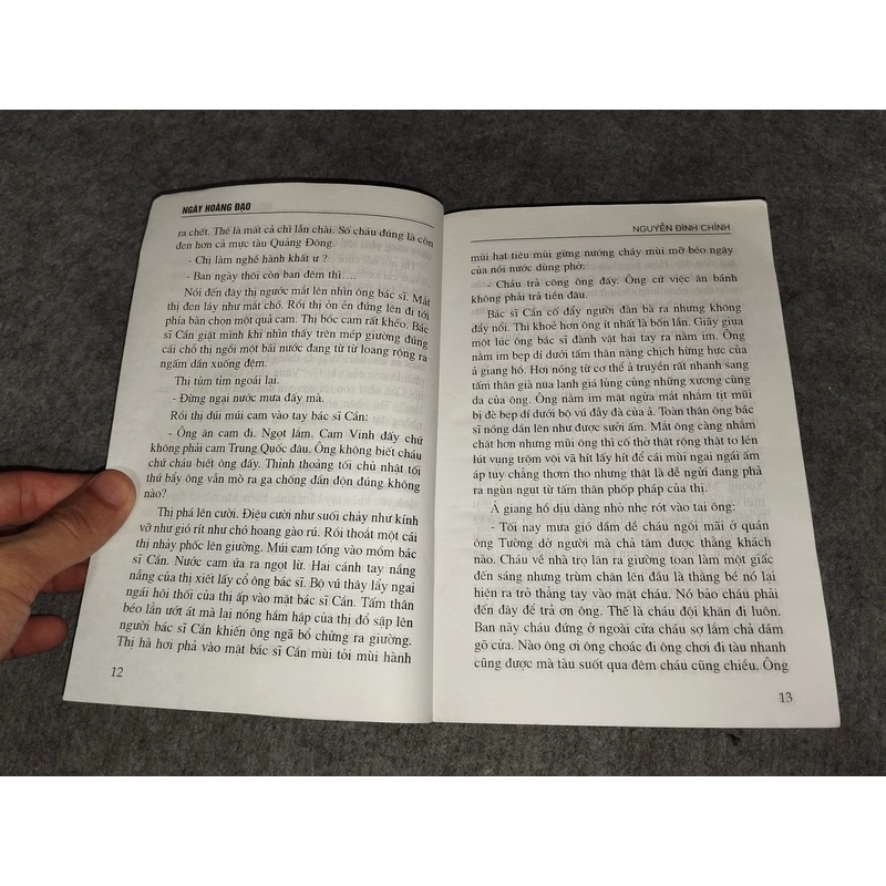 NGÀY HOÀNG ĐẠO - NGUYỄN ĐÌNH CHÍNH 538078