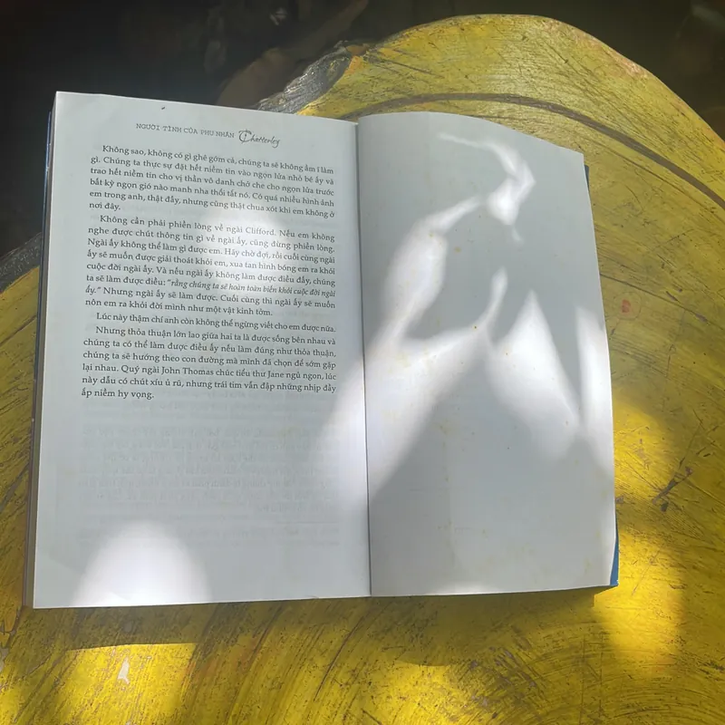 COMBO D.H. LAWRENCE: NGƯỜI TÌNH CỦA PHU NHÂN CHATTERLEY - NGƯỜI ĐÀN BÀ ĐANG YÊU 717169