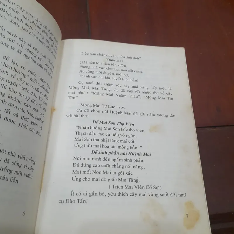 Huỳnh Văn Thới - KỸ THUẬT TRỒNG và GHÉP MAI 573465
