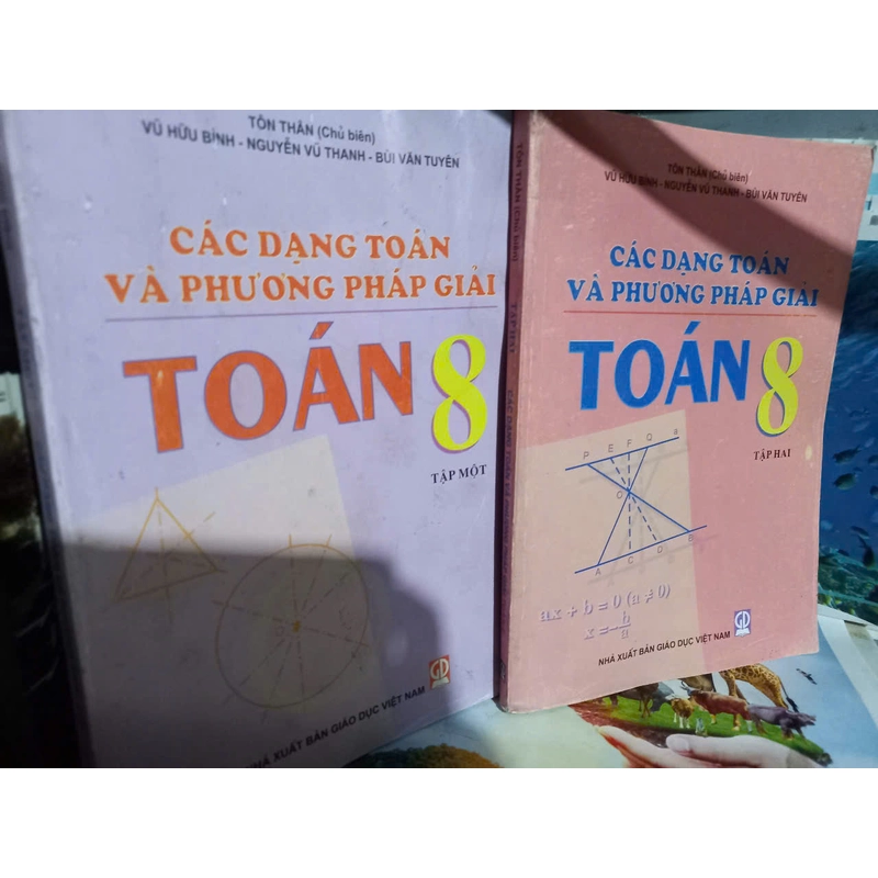 các phương pháp giải toán lớp 8 497993