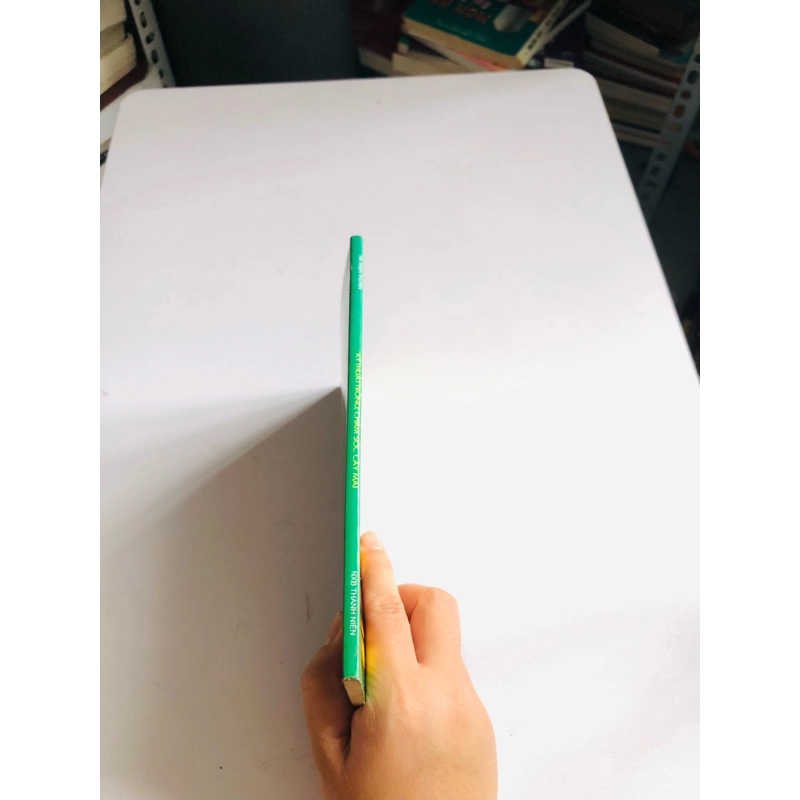 KỸ THUẬT TRỒNG, CHĂM SÓC CÂY MAI 530567