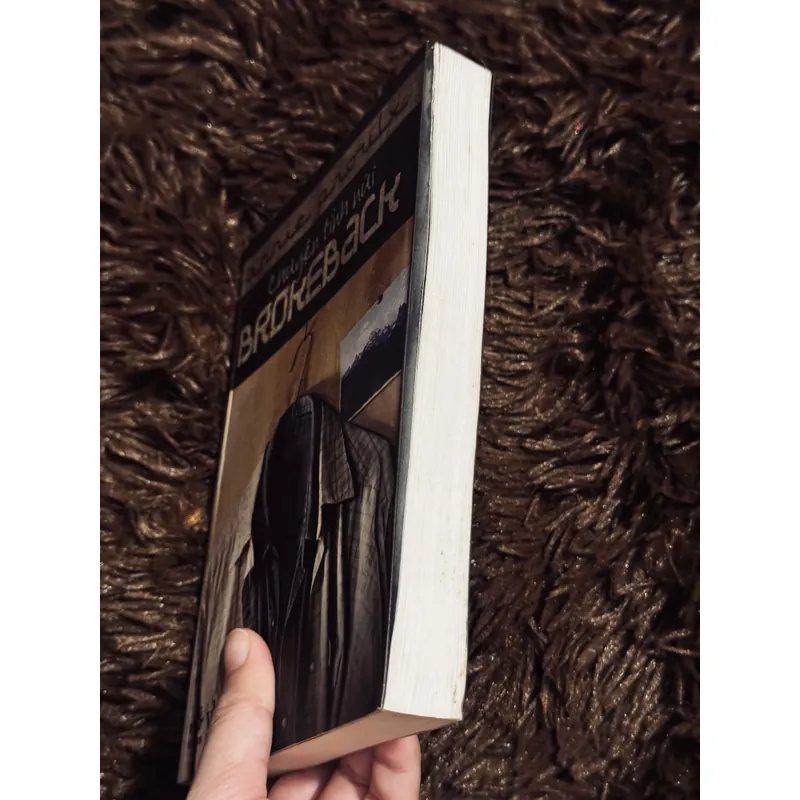 Chuyện tình núi BrokeBack (bản in đầu) 735266