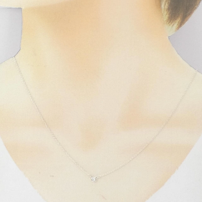 Dây chuyền Tiffany By The Yard - Hàng hiệu Authentic 840715