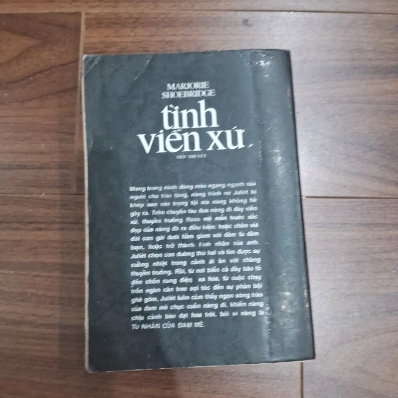 Tình viễn xứ 506181