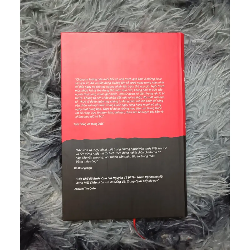 Sống với Trung Quốc (Tạ Duy Anh) 675678