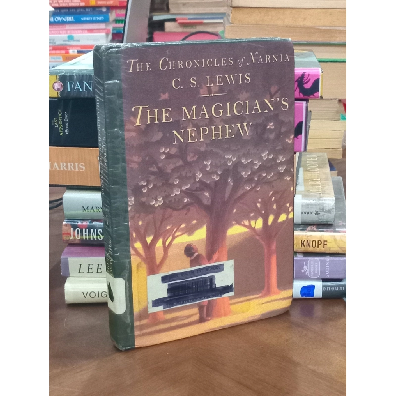 The Magician's Nephew - C. S. Lewis 507121