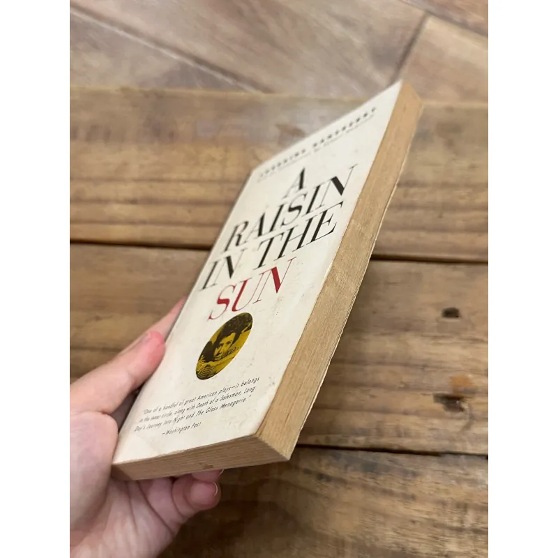 A Raisin in the Sun - Lorraine Hansberry 735422