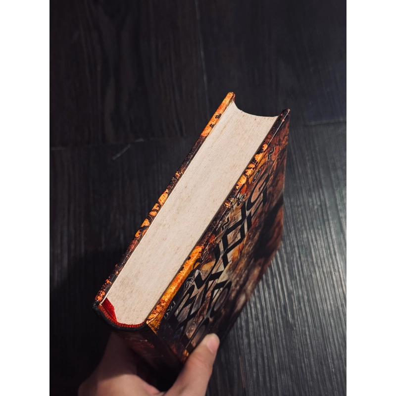 Rừng xanh lá đỏ 531085