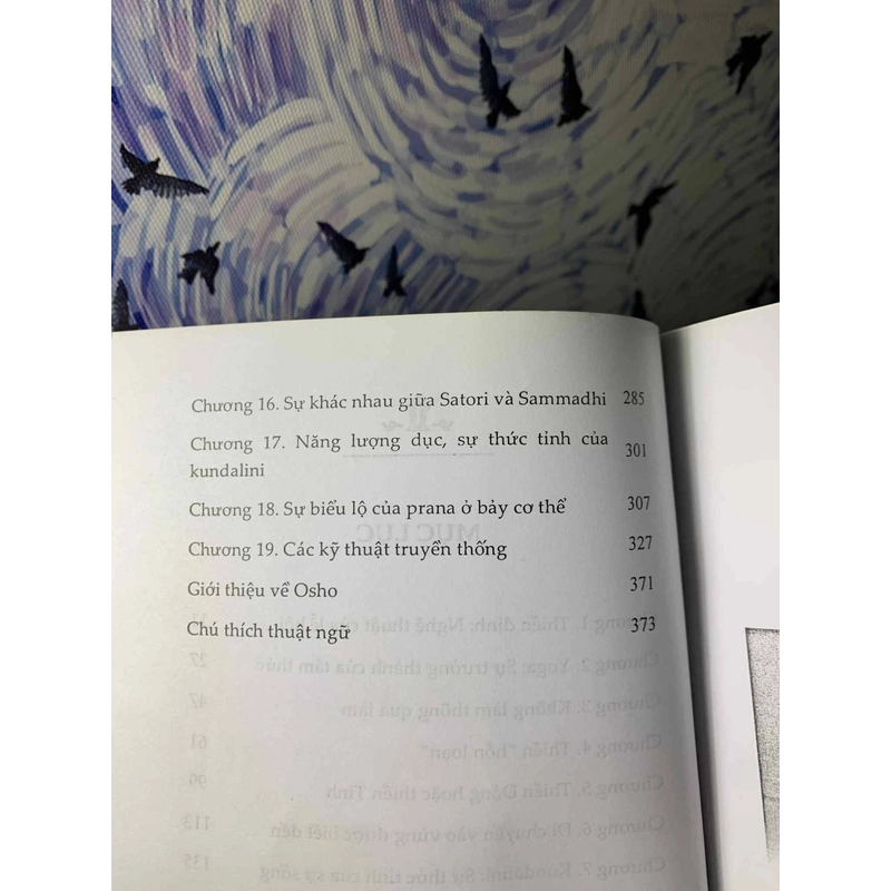 Thiền. Nghệ Thuật Của Nhập Định - Osho 538869