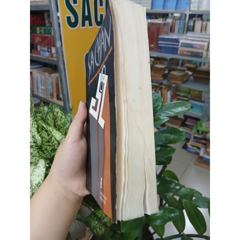 SA CHÂN - VŨ ĐÌNH BÌNH CHỌN DỊCH 1009111