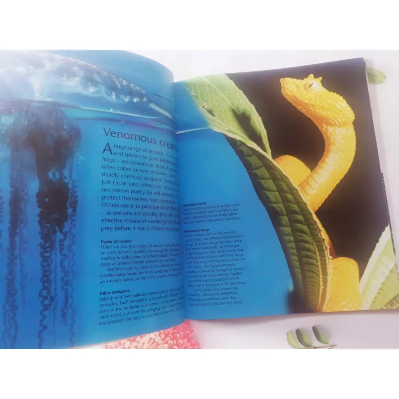 Dangerous Creatures 1002054