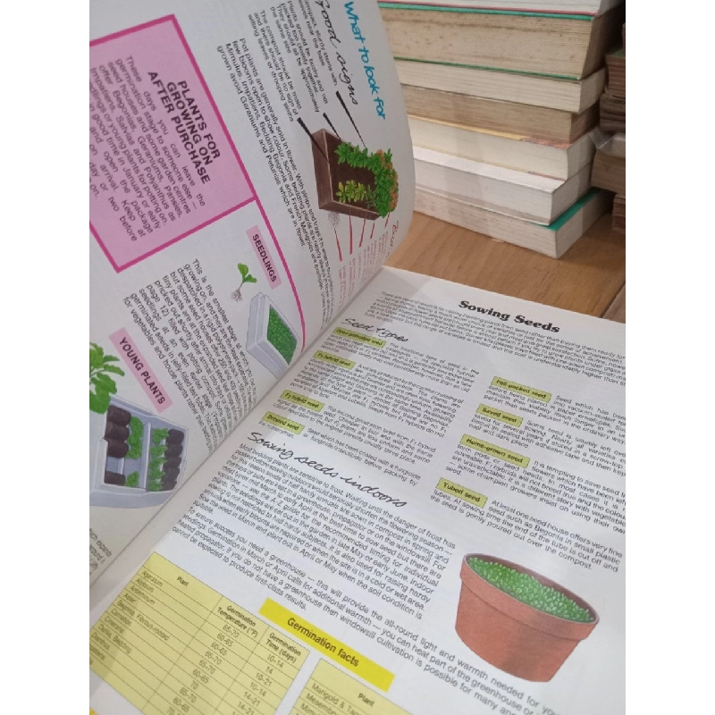 The bedding plant expert - Dr. D.G.Hessayon 795872