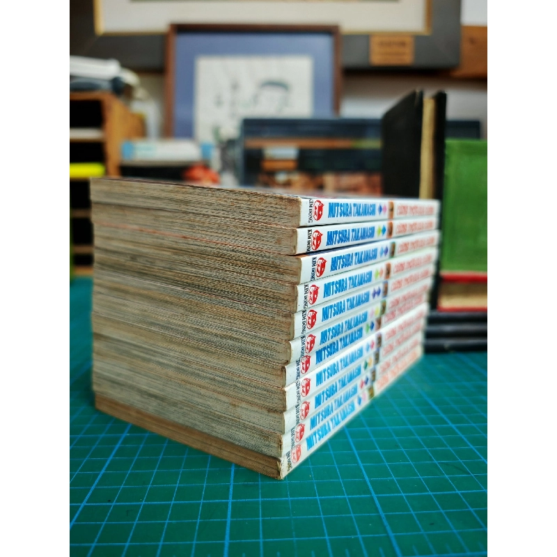 Truyện tranh Cùng Một Gia Đình - Mitsuba TaKaNaShi 119666